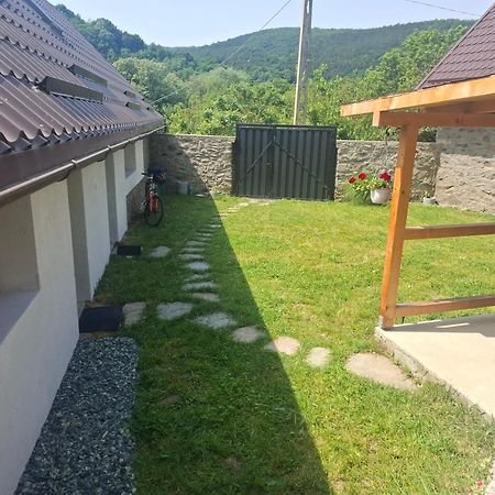 Casa Noua Villa Sasca Montană Екстериор снимка