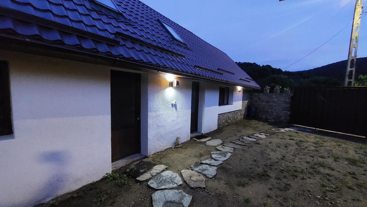 Casa Noua Villa Sasca Montană Екстериор снимка