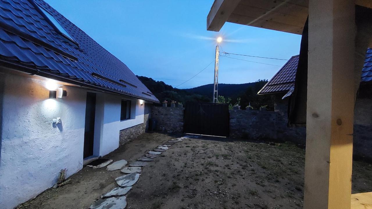 Casa Noua Villa Sasca Montană Екстериор снимка