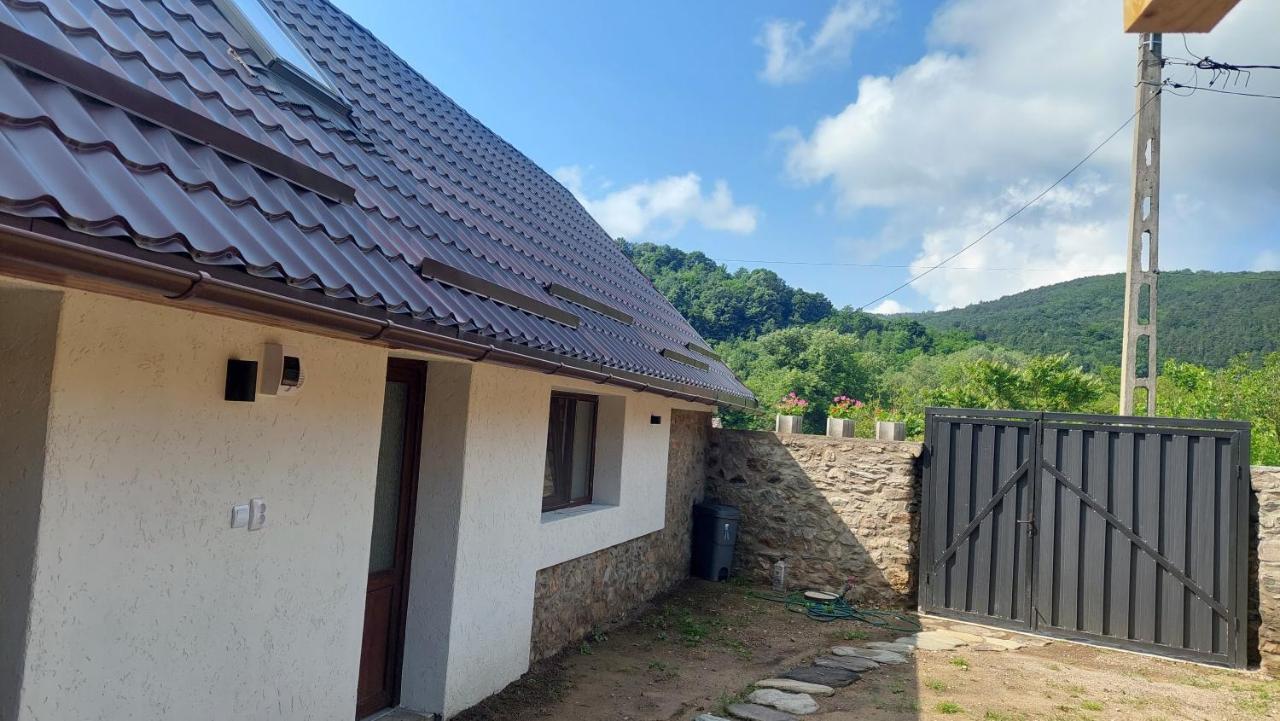 Casa Noua Villa Sasca Montană Екстериор снимка