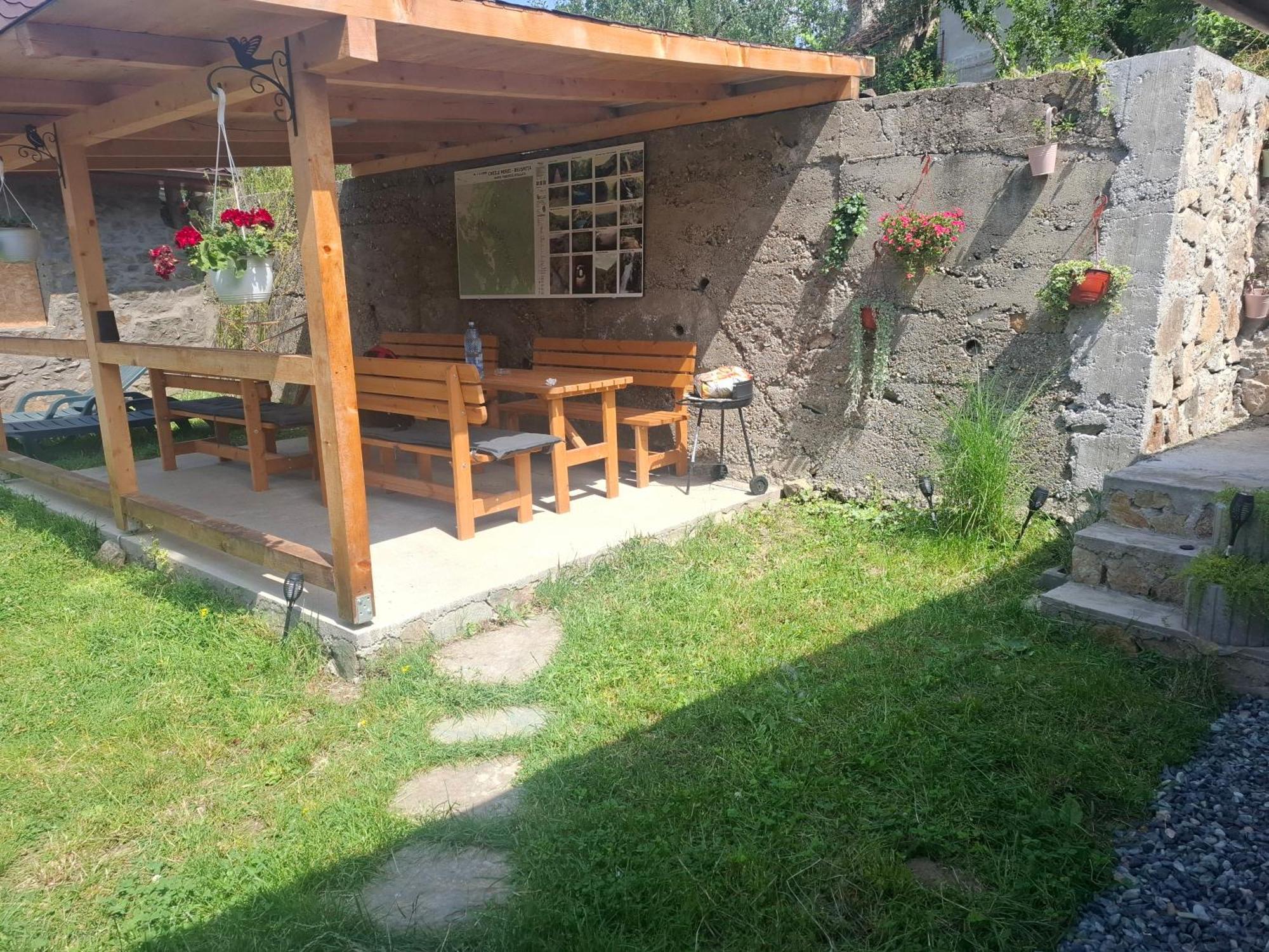 Casa Noua Villa Sasca Montană Екстериор снимка